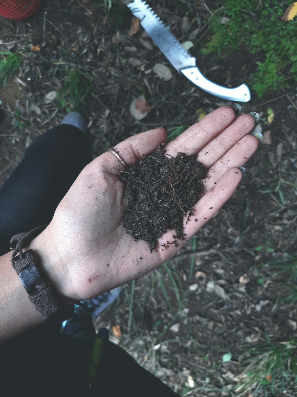 a person holding a handful of dirt in their hand