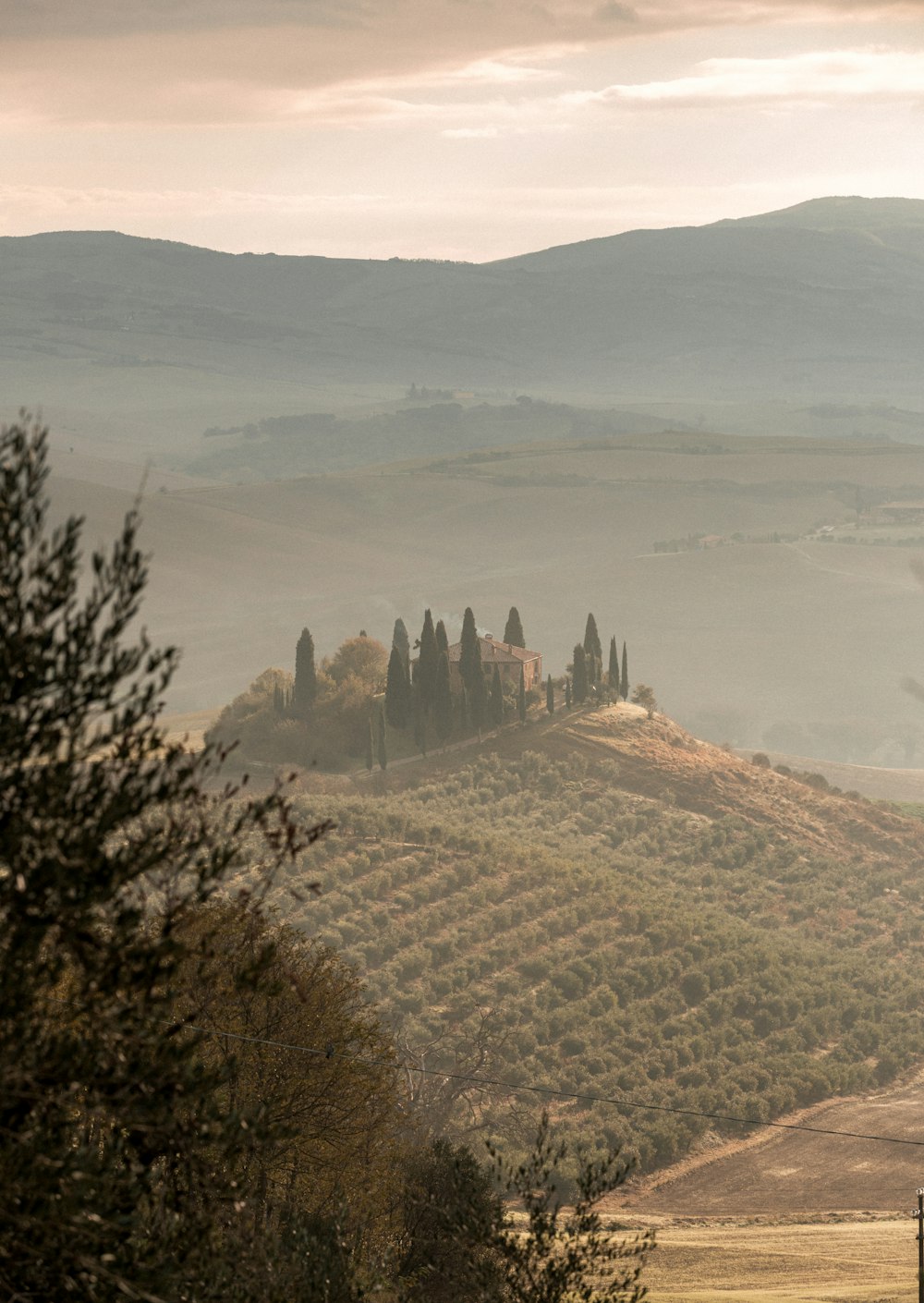 a view of a hill with trees and hills in the background