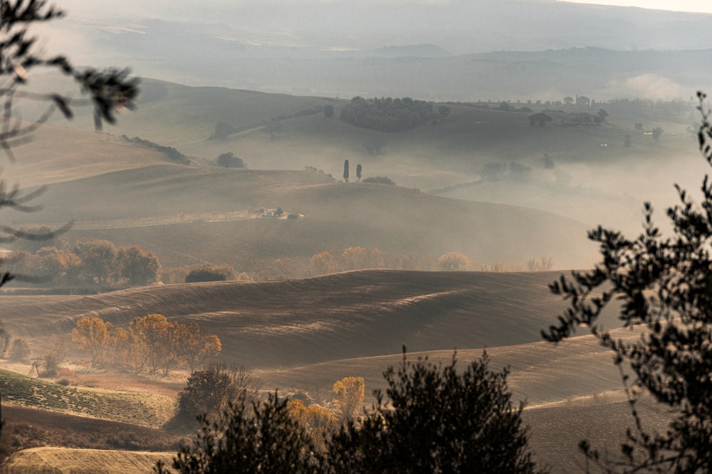 a view of a hilly area with trees in the foreground