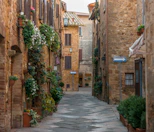 a narrow alley way with potted plants on either side