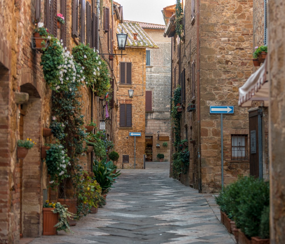 a narrow alley way with potted plants on either side