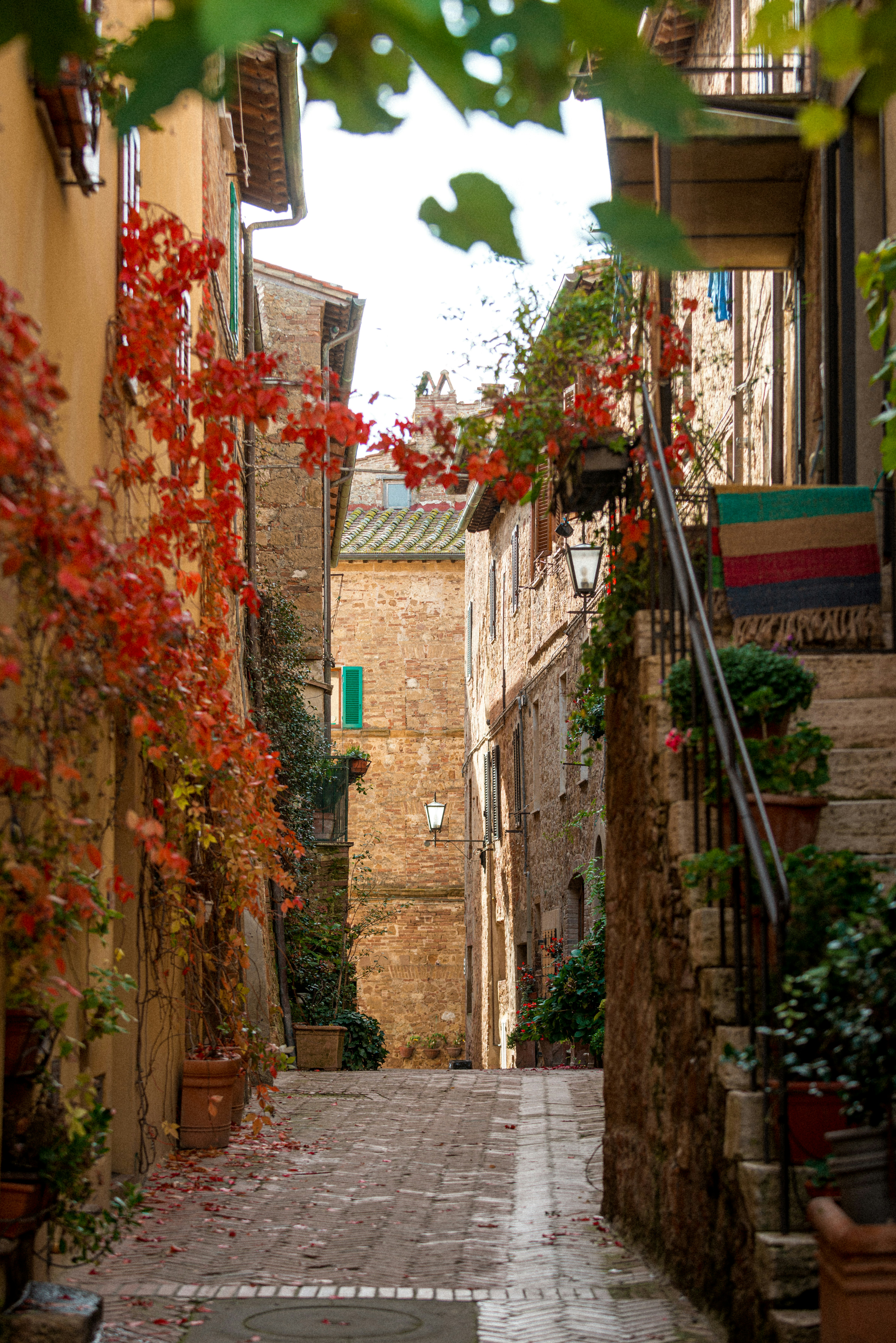 Photo by didiofederico_photographer