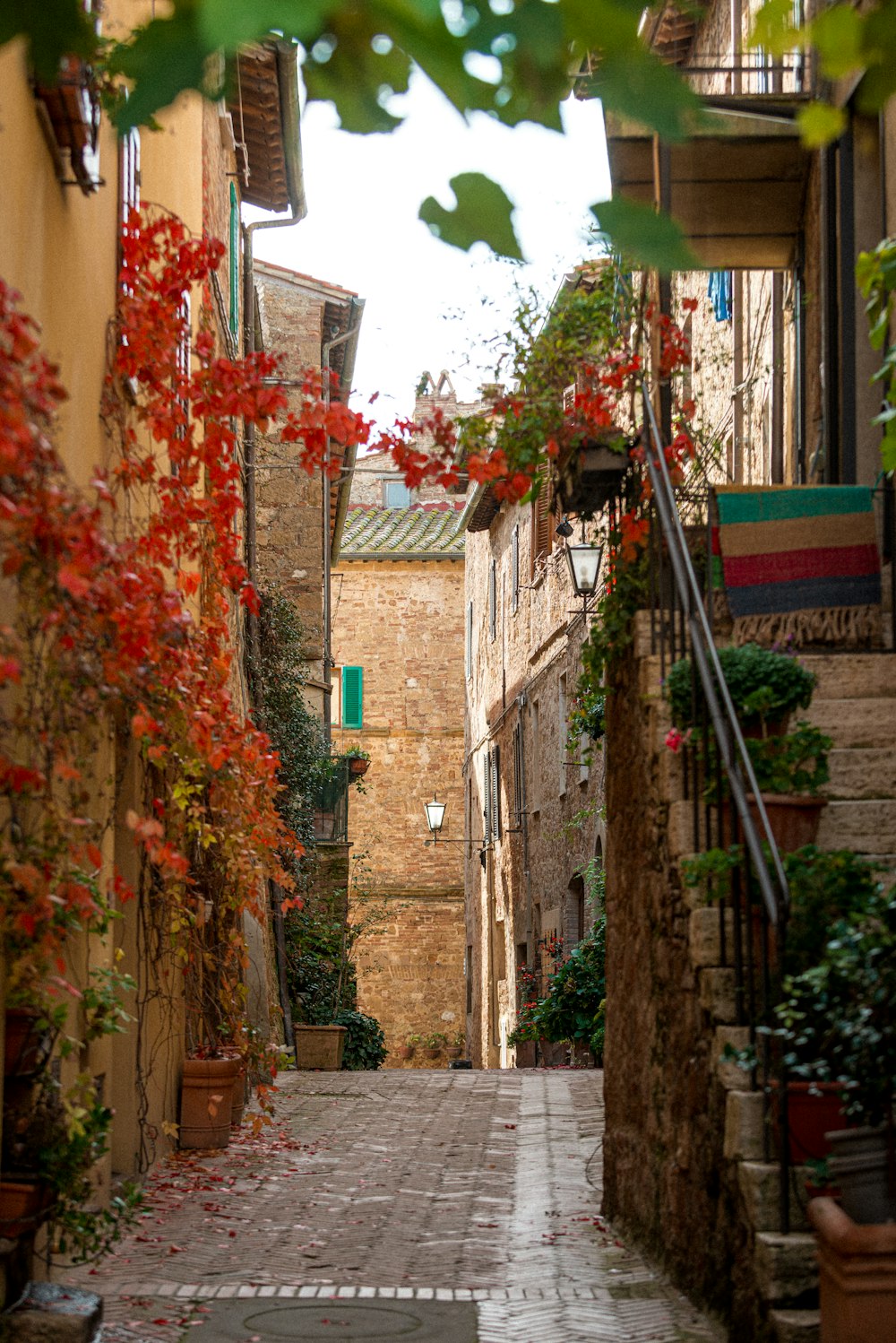 a narrow alleyway with flowers and plants on either side
