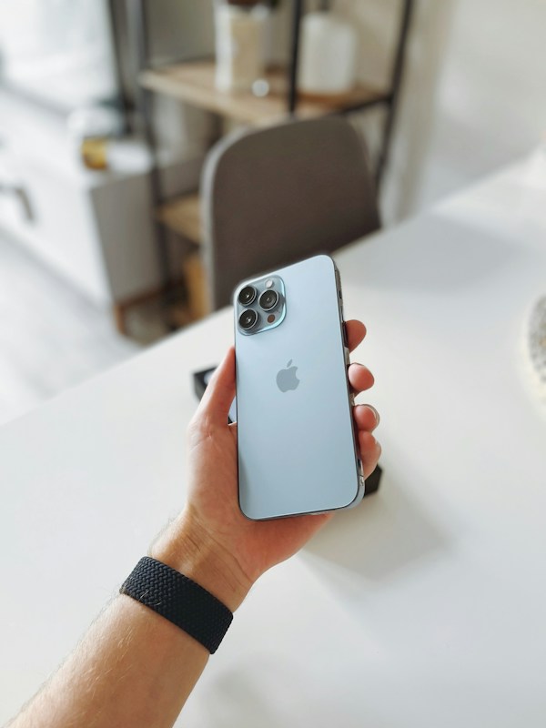 iPhone 13 Pro 256GB pilkas, puikios būklės