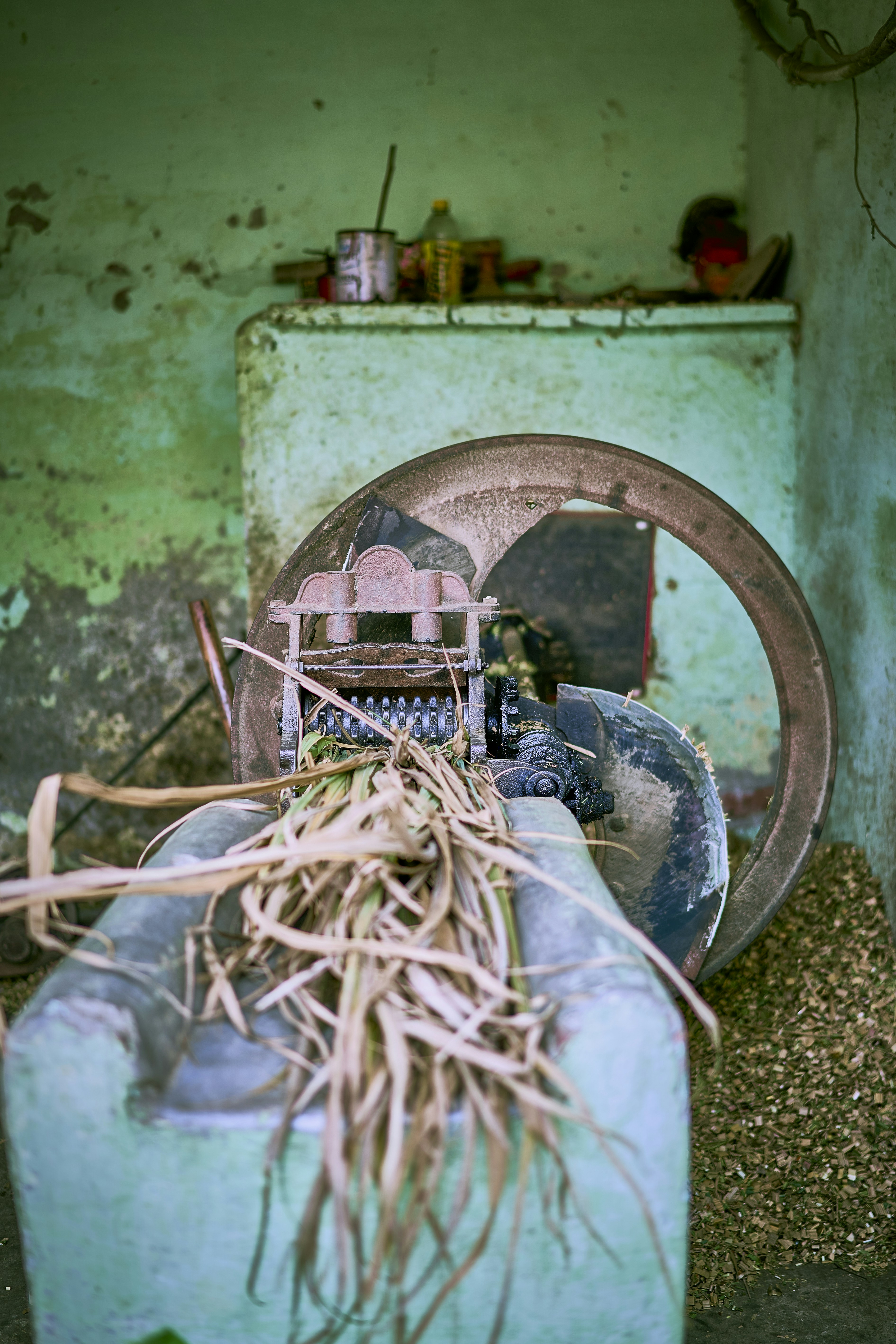 an old machine with a bunch of roots on top of it