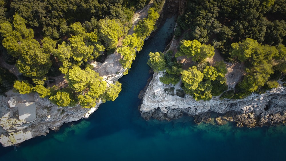 an aerial view of a river surrounded by trees