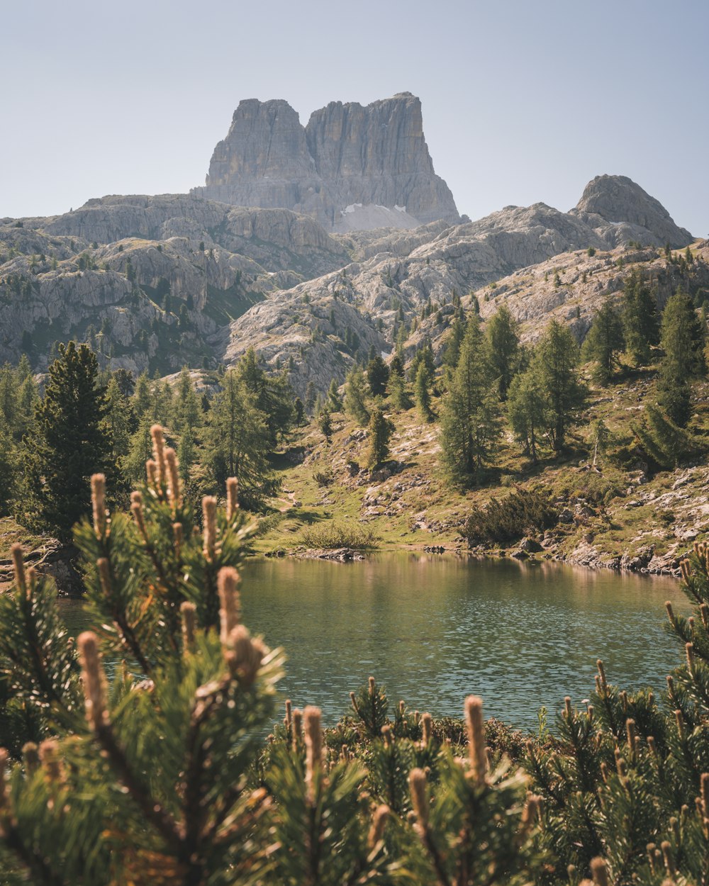 Un lago rodeado de árboles y montañas