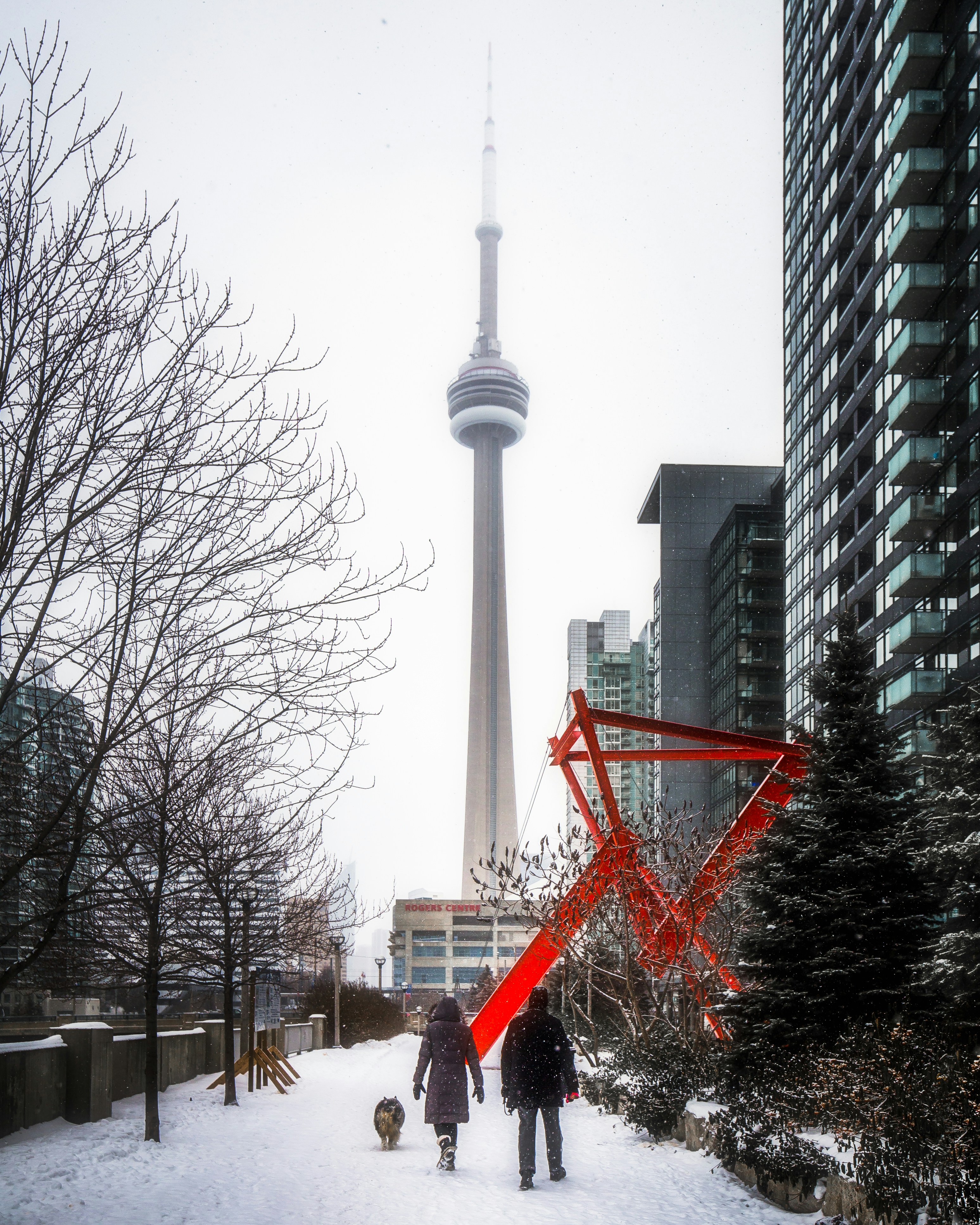 a man and a woman walking a dog in the snow