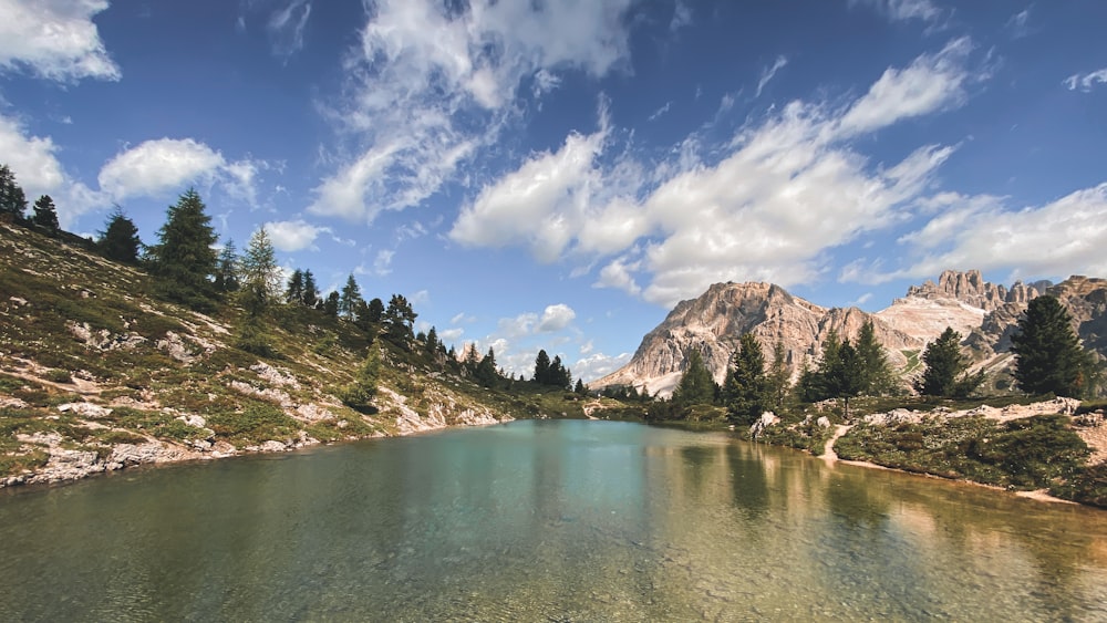 a body of water surrounded by mountains and trees