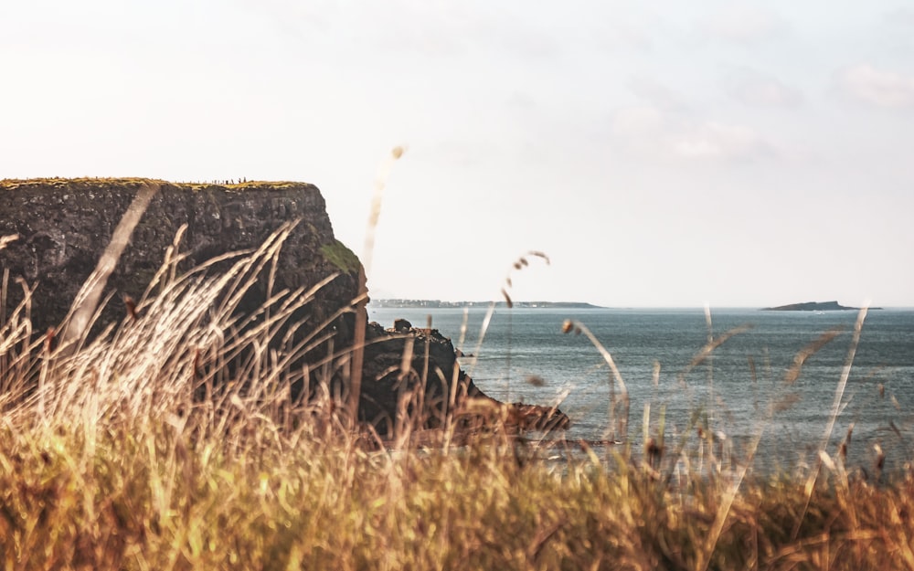 a view of a body of water from a cliff