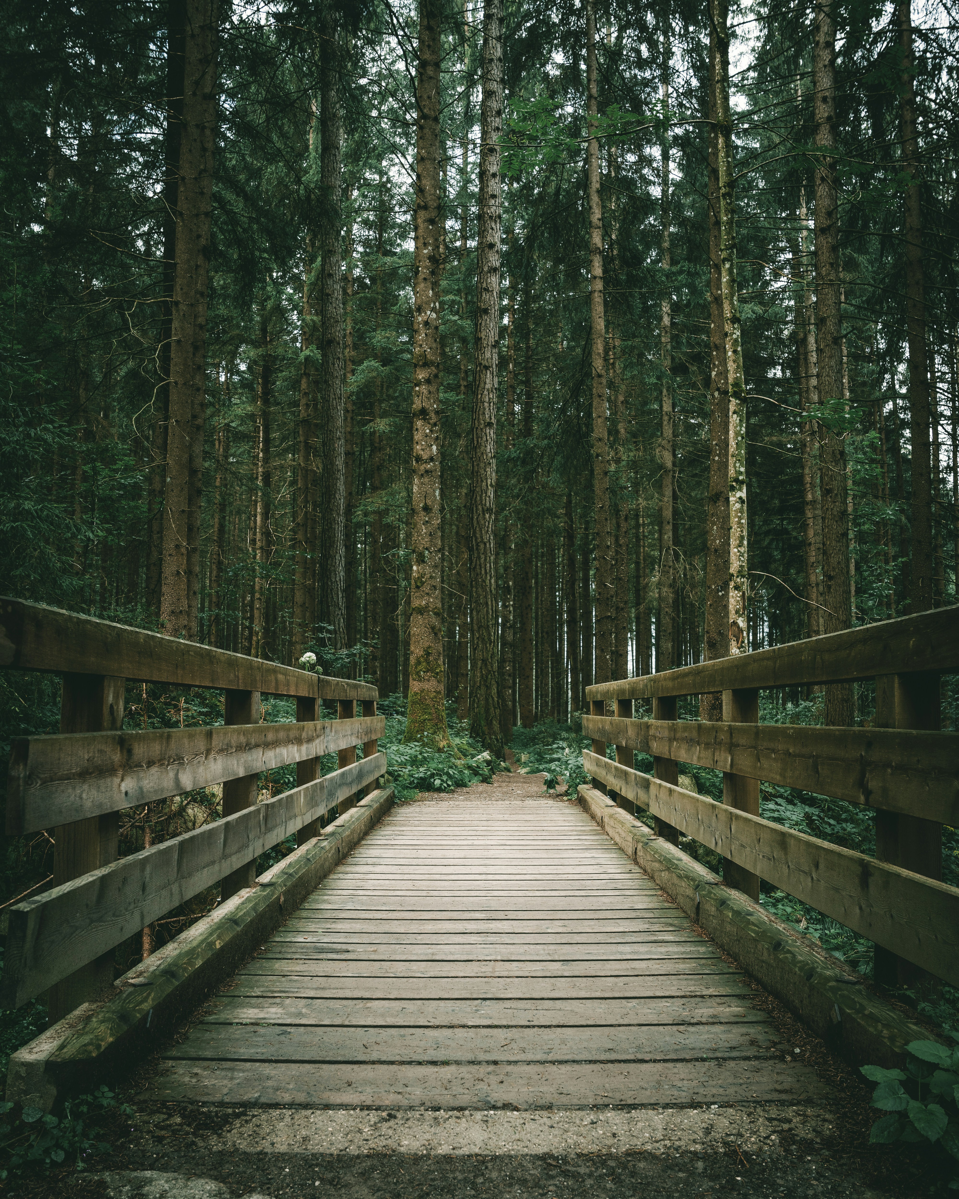 Photo by mauro_grazzi