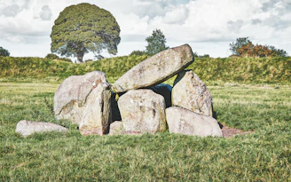 a pile of rocks sitting on top of a lush green field