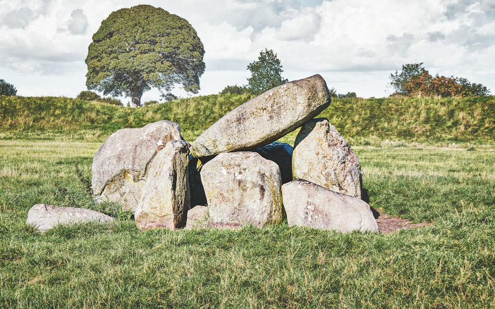 a pile of rocks sitting on top of a lush green field