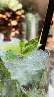 A close-up of a refreshing beverage garnished with fresh mint leaves and a lime wedge. The drink is served in a glass filled with crushed ice, with a straw visible to the side. The background is softly blurred, suggesting an outdoor or garden setting.