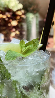 A close-up of a refreshing mint water drink with fresh mint leaves and ice cubes in a clear glass.