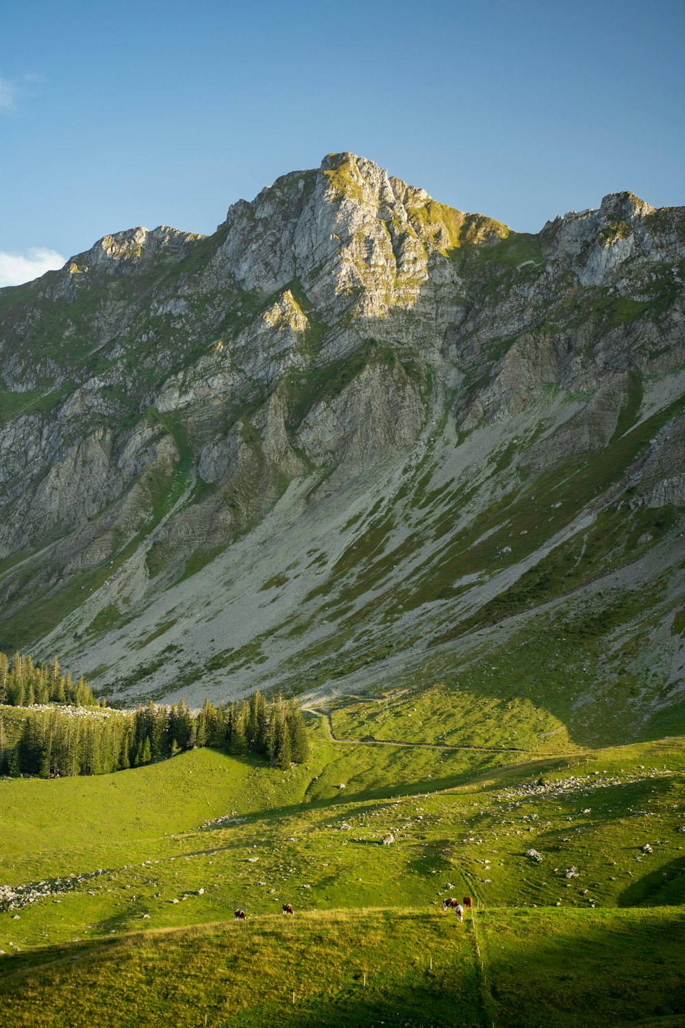 a grassy valley with a mountain in the background