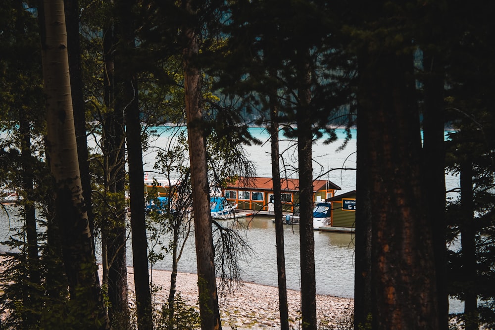 a view of a boat dock through the trees