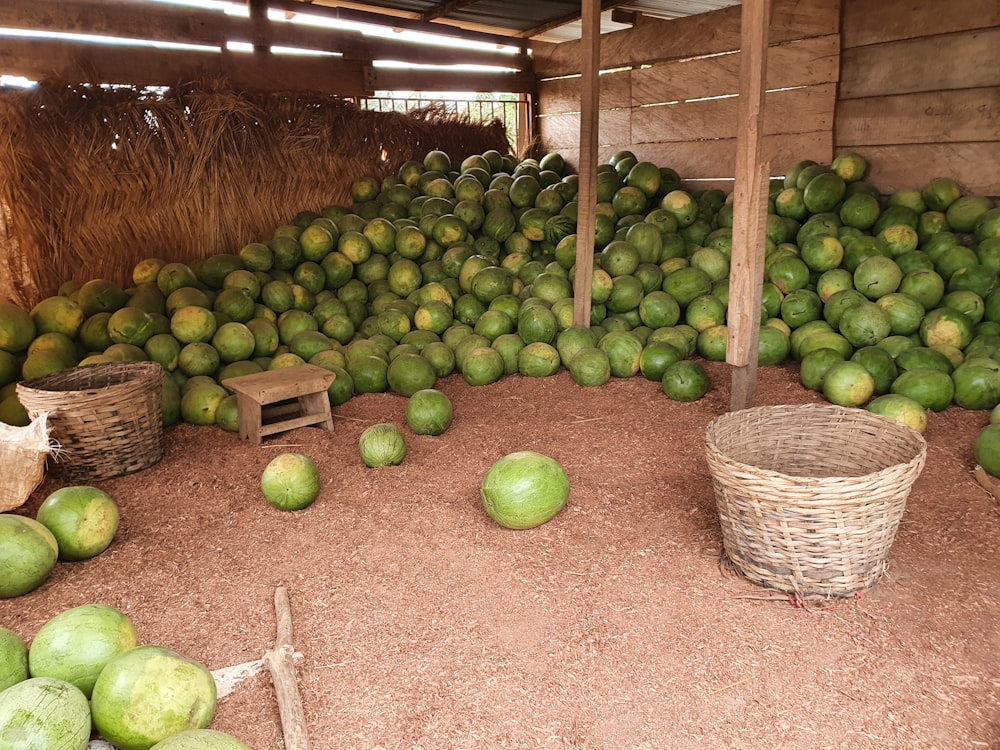 Una habitación llena de mucha fruta verde