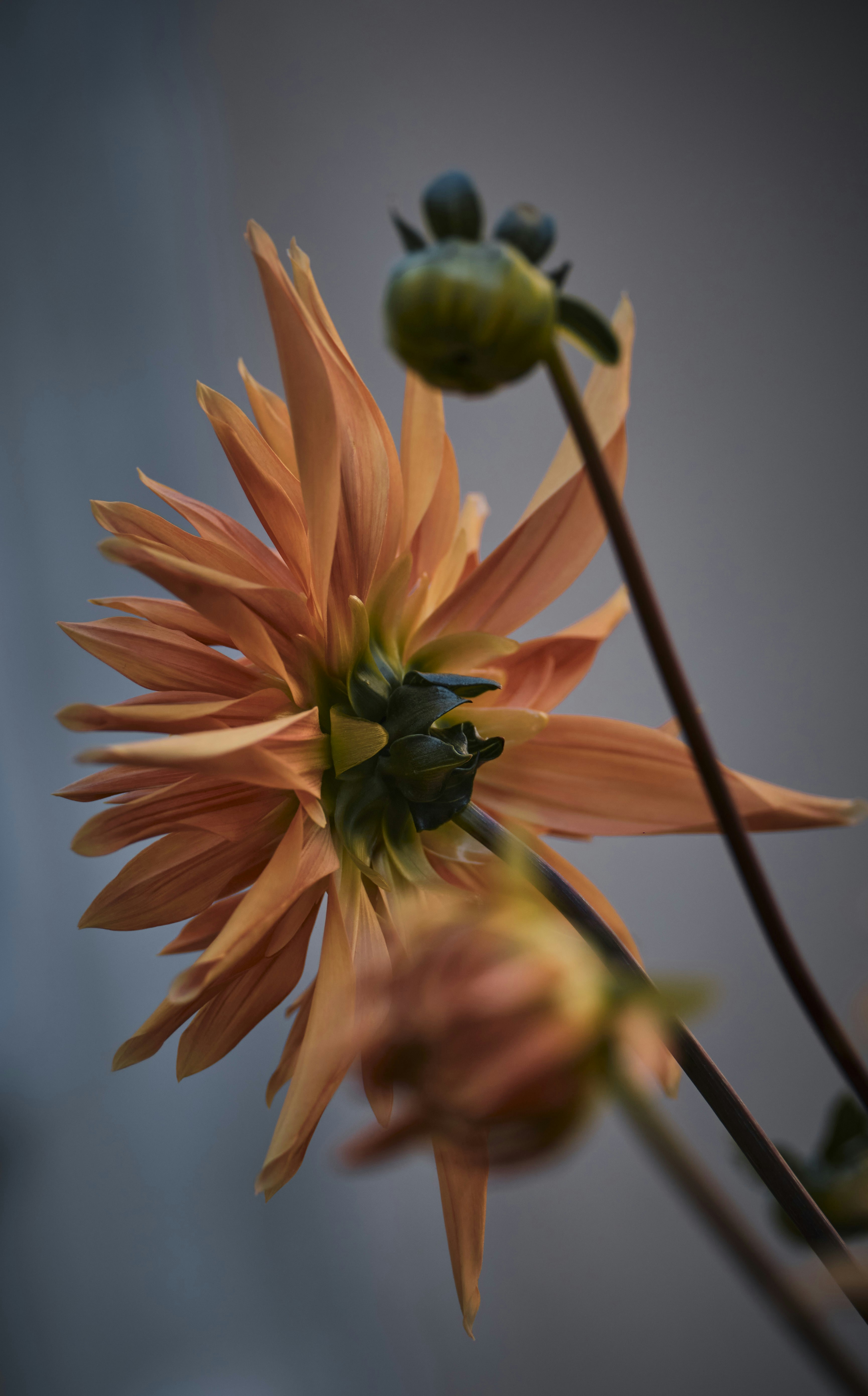 Photo by rolf_schmidbauer