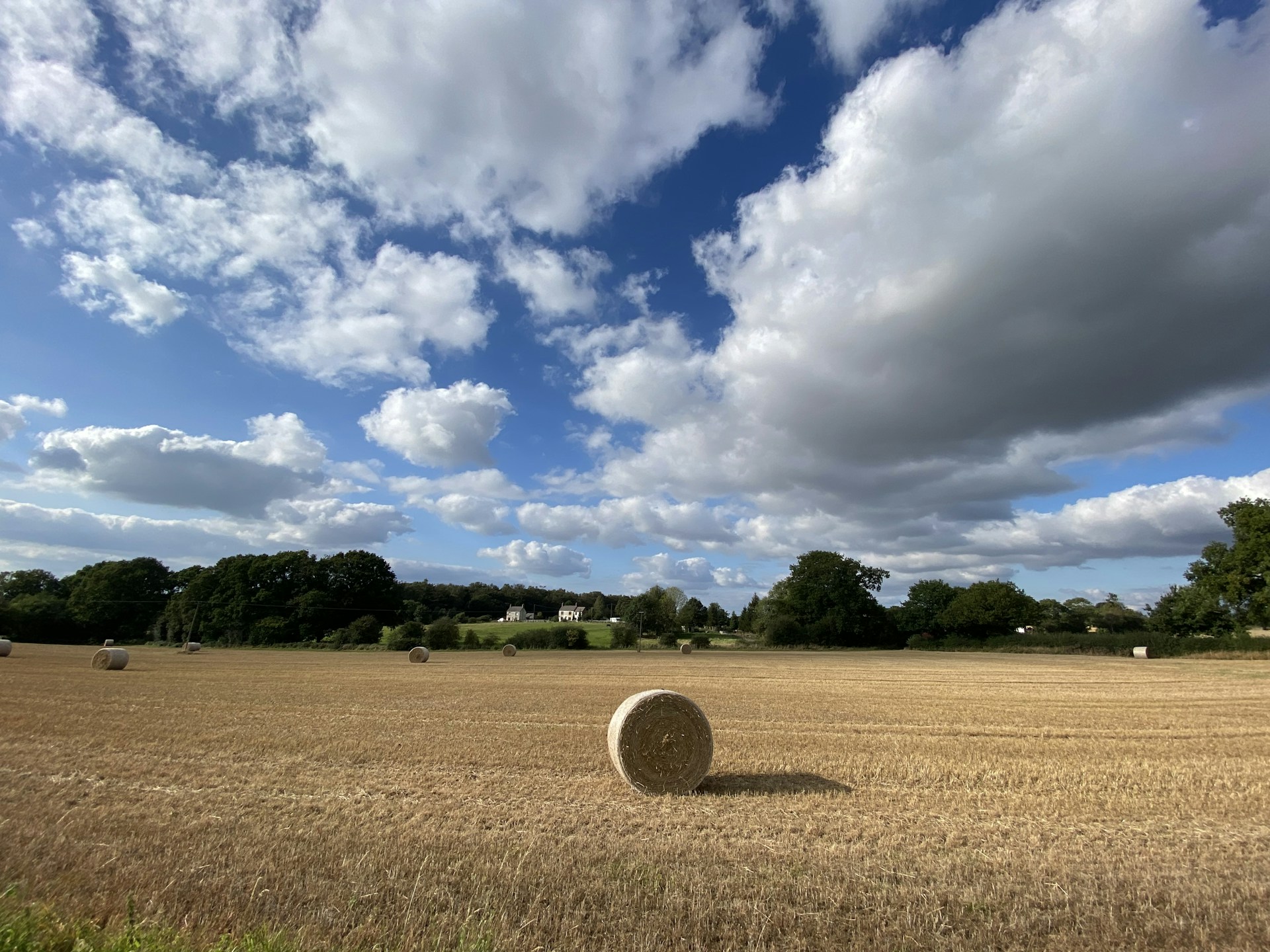 a hay field with a bale of hay in the foreground