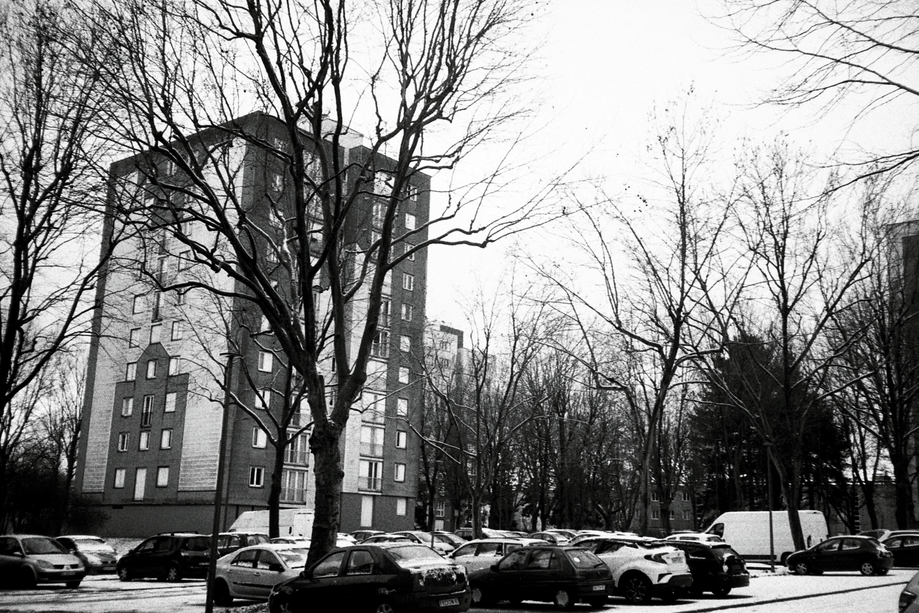 Photo by yasssine_rahaoui