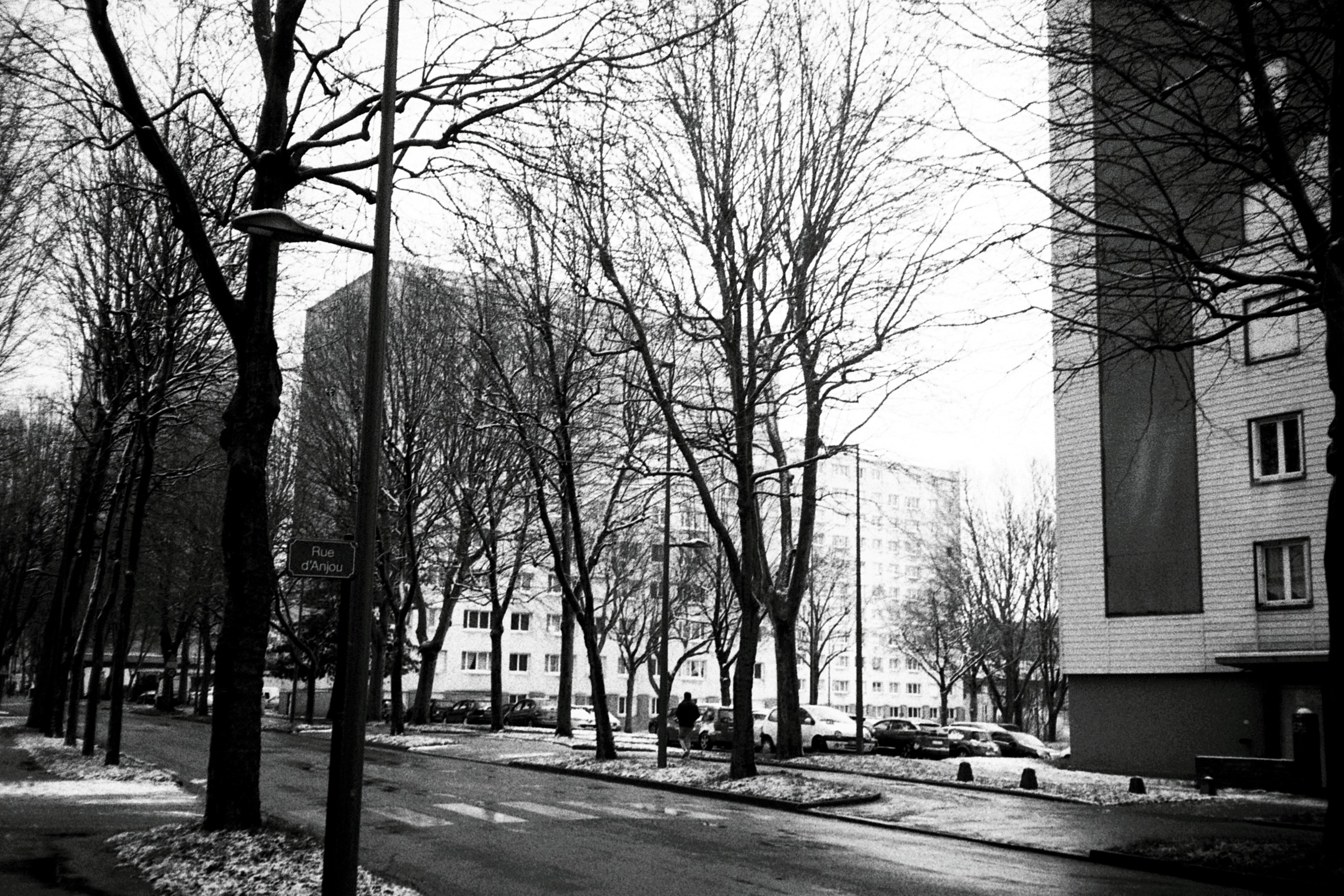 BVA destination photo