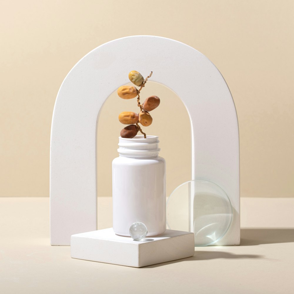 un vaso bianco con una pianta al suo interno