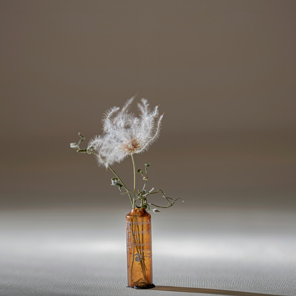 a dandelion in a vase on a table