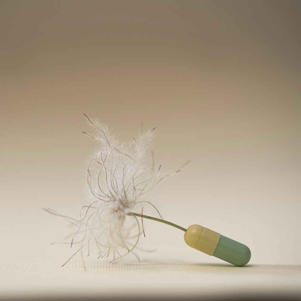 a white dandelion with a green tube sticking out of it