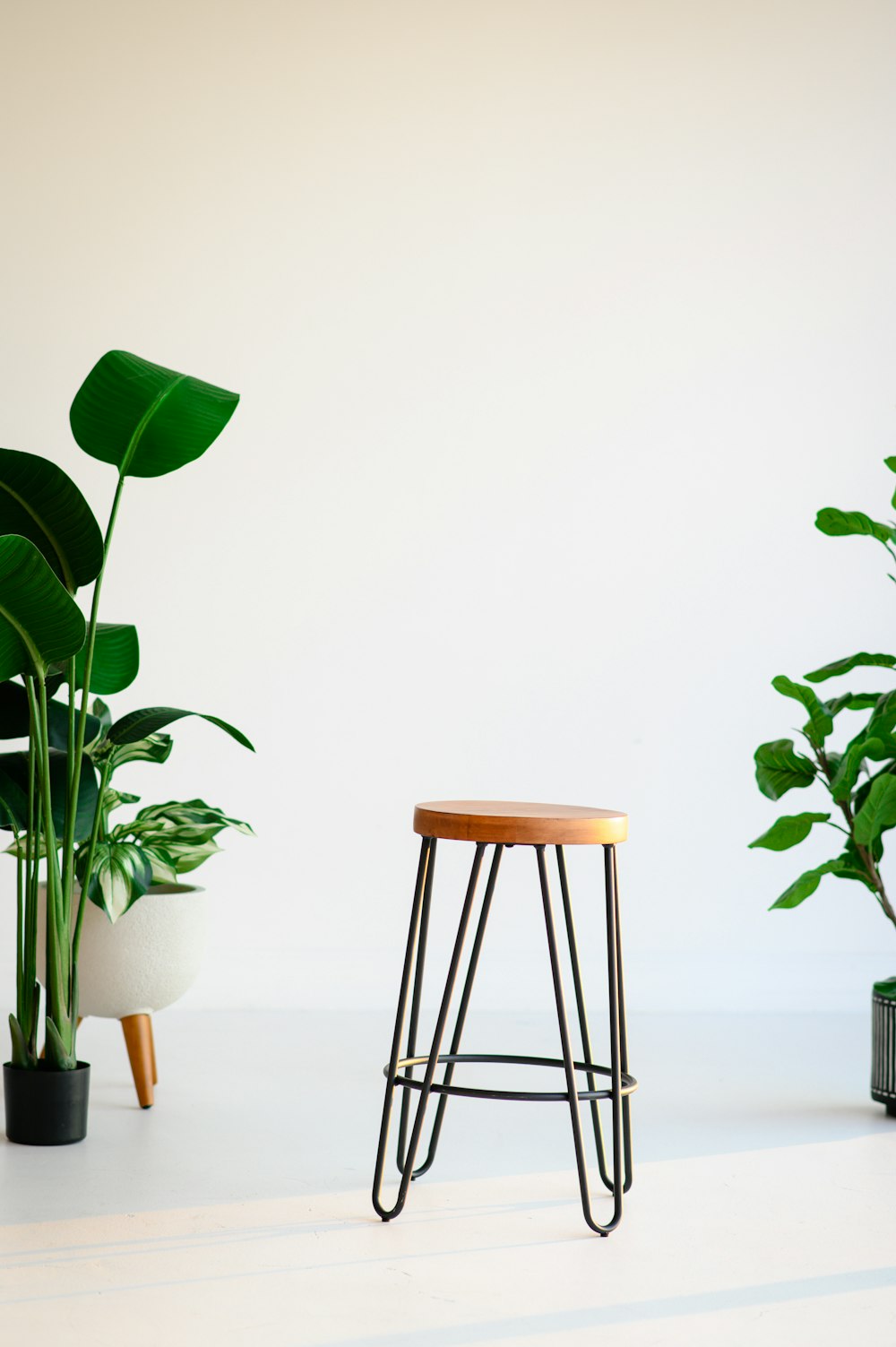 a vase of flowers on a table