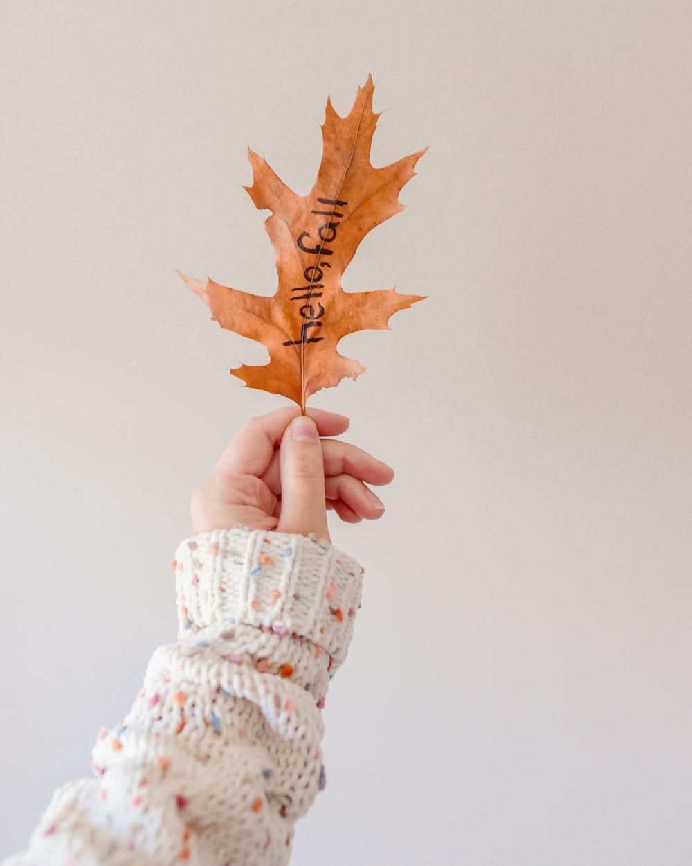 a person holding a leaf with the word autumn written on it