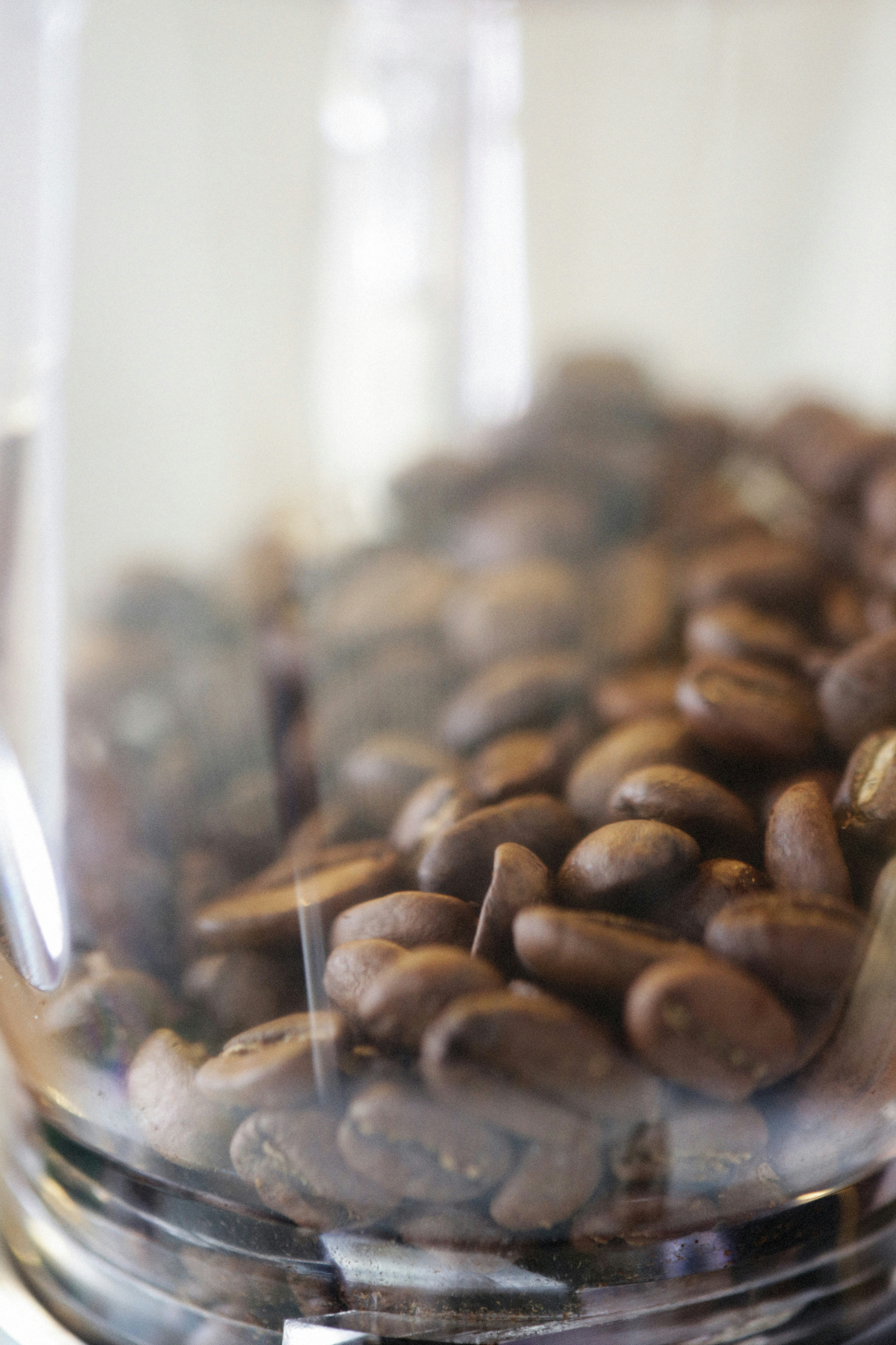 Photo by alexeydemidov