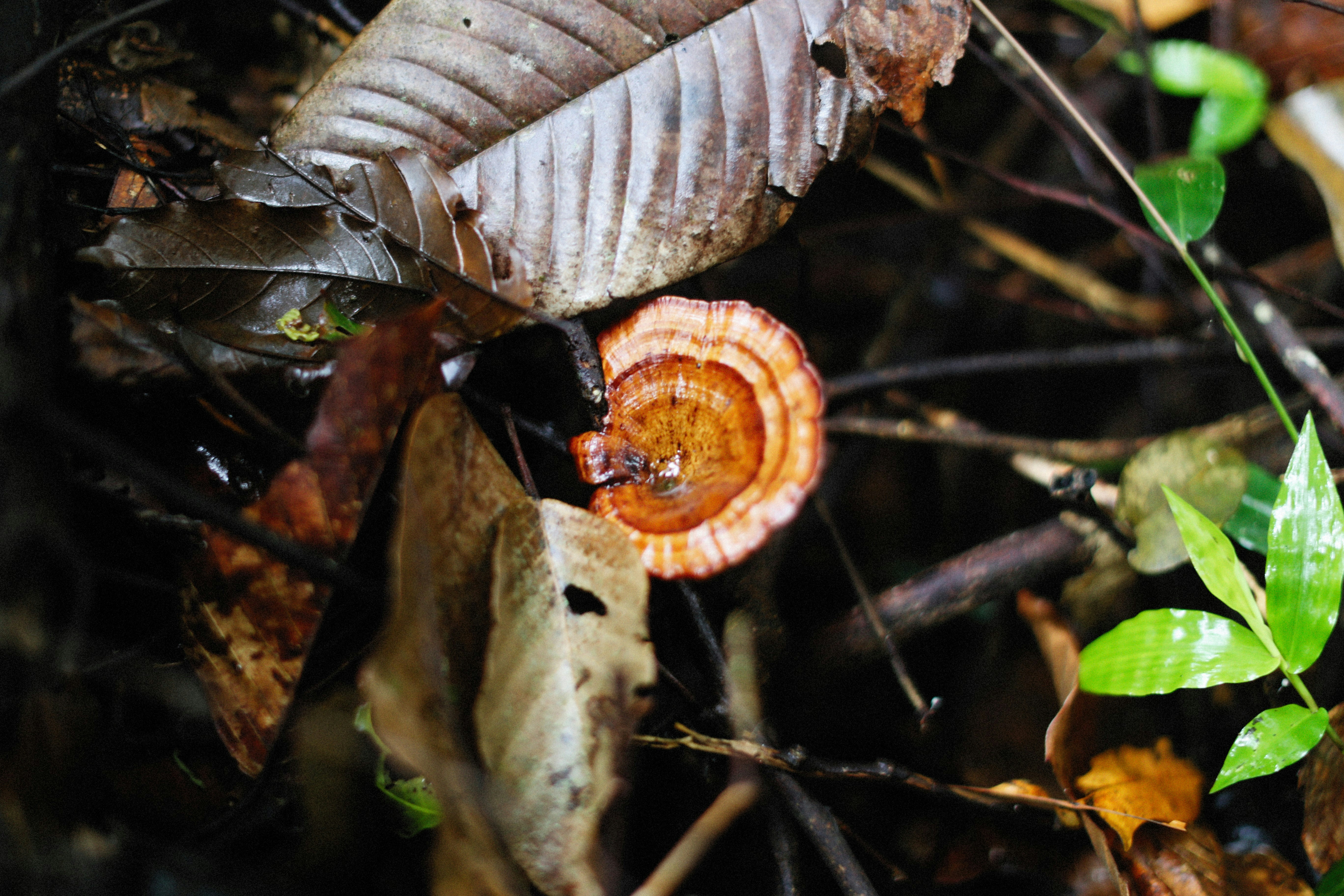 Photo by alexeydemidov