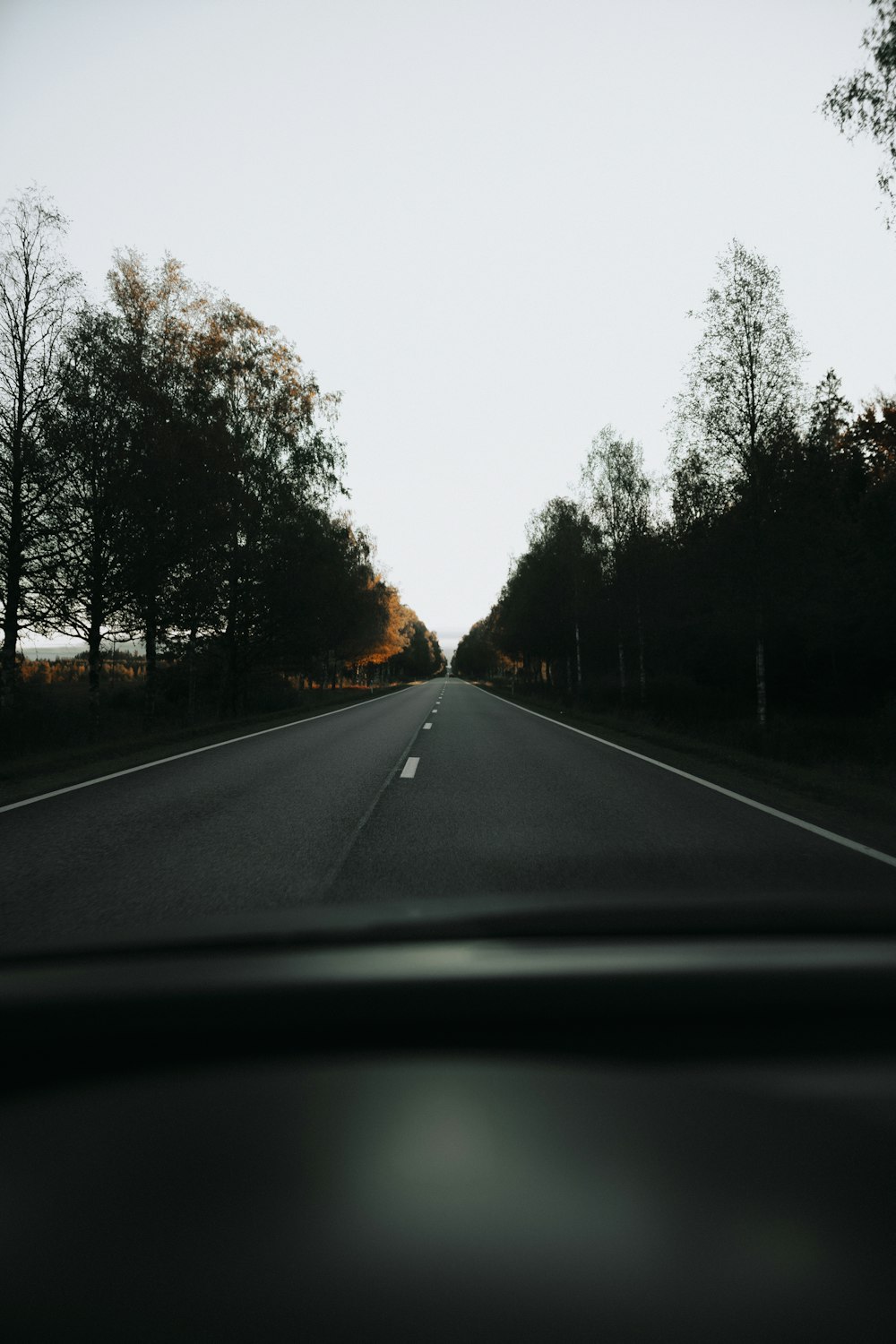 a car driving down a road next to trees