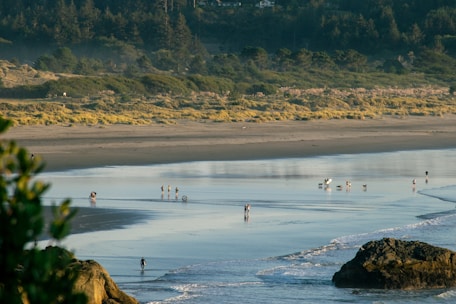 a group of people standing on top of a beach next to the ocean