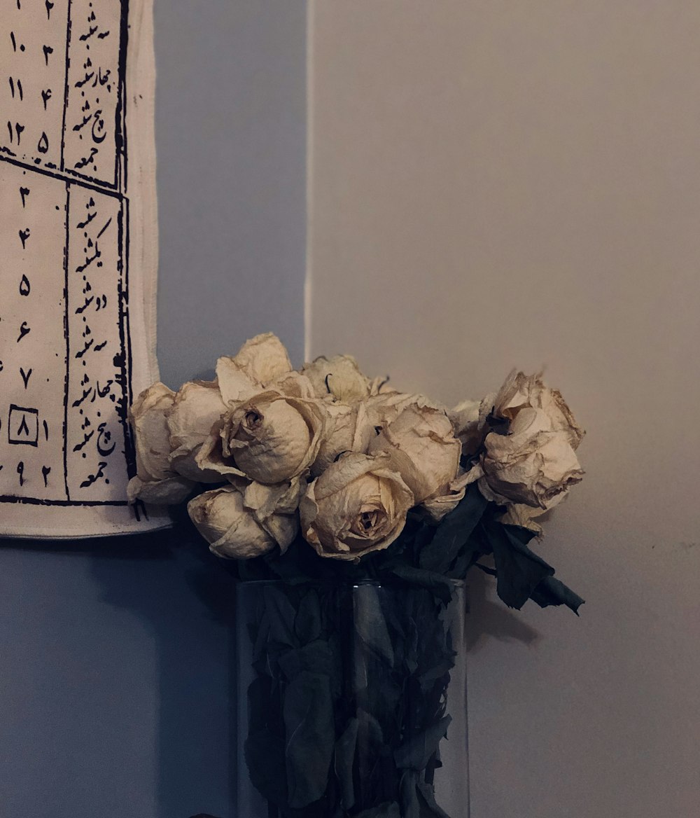 a vase filled with white flowers next to a wall