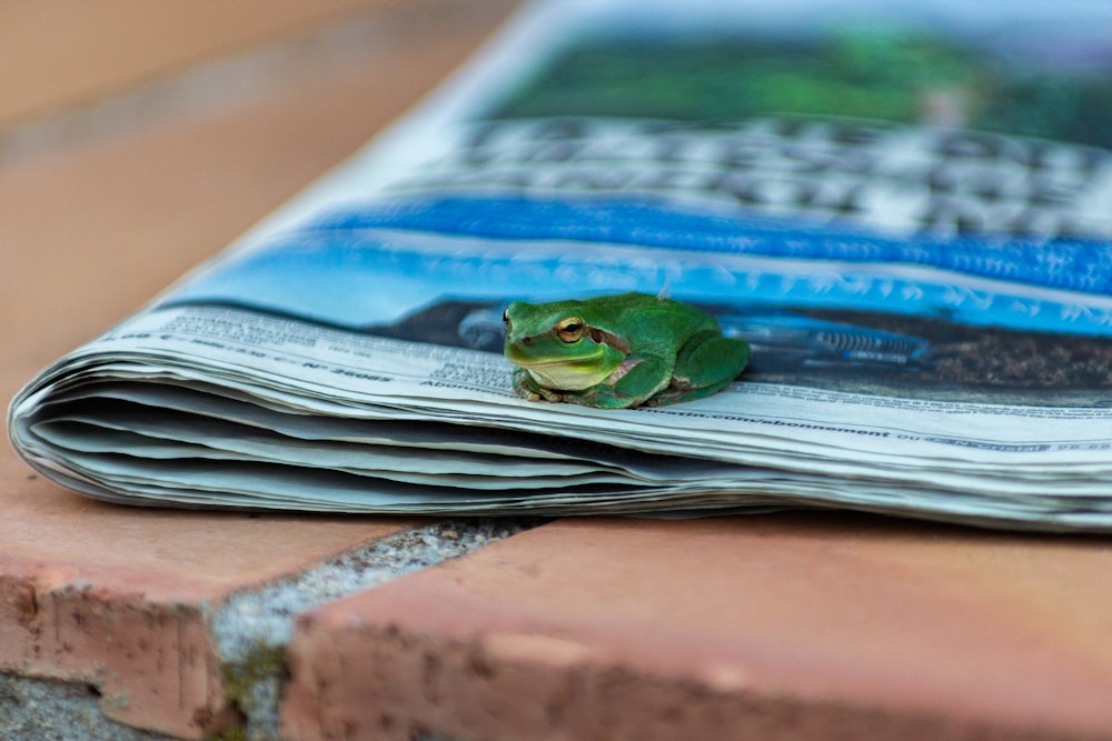 a green frog sitting on top of a newspaper