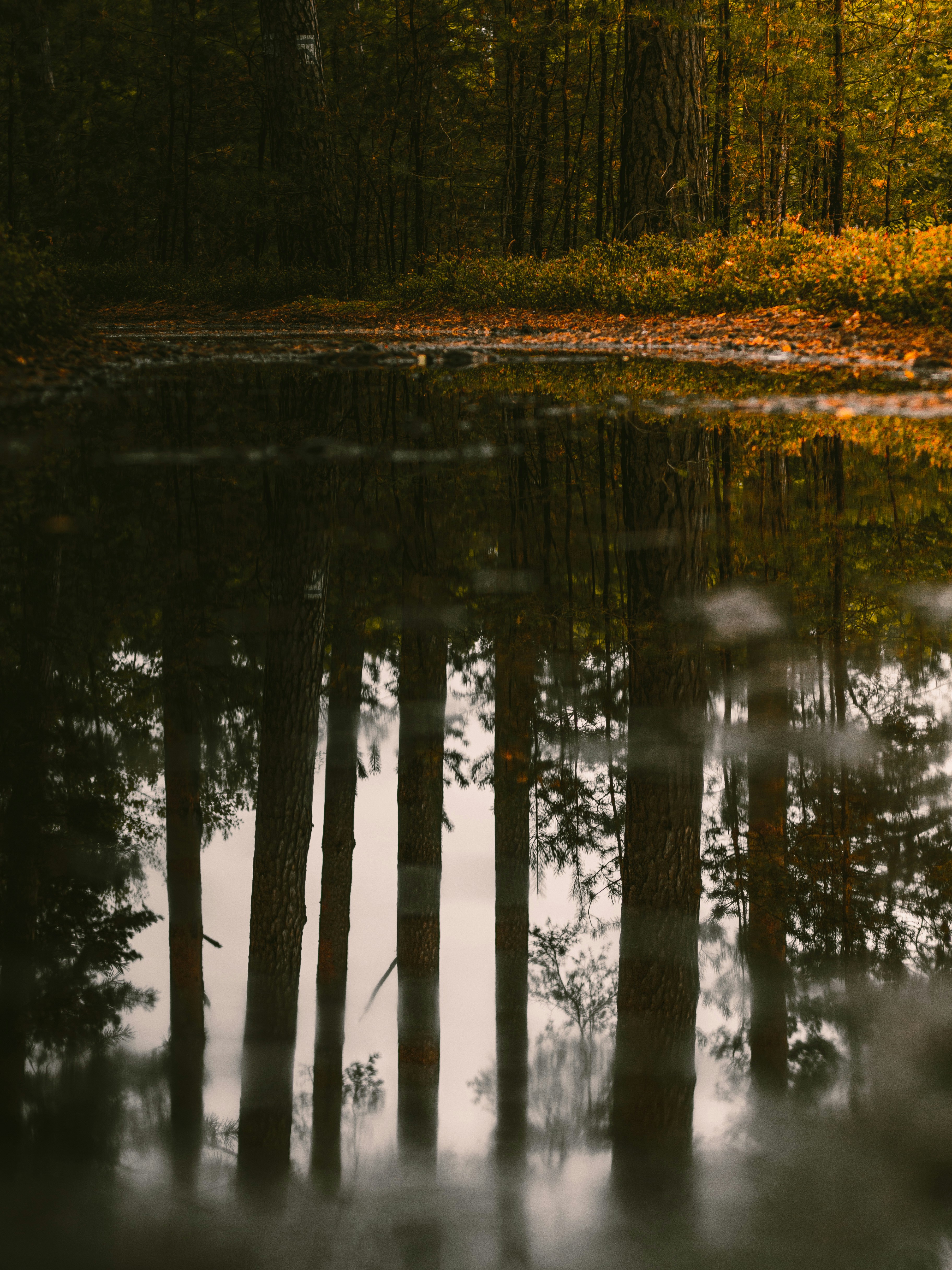 Photo by tomasz_filipek