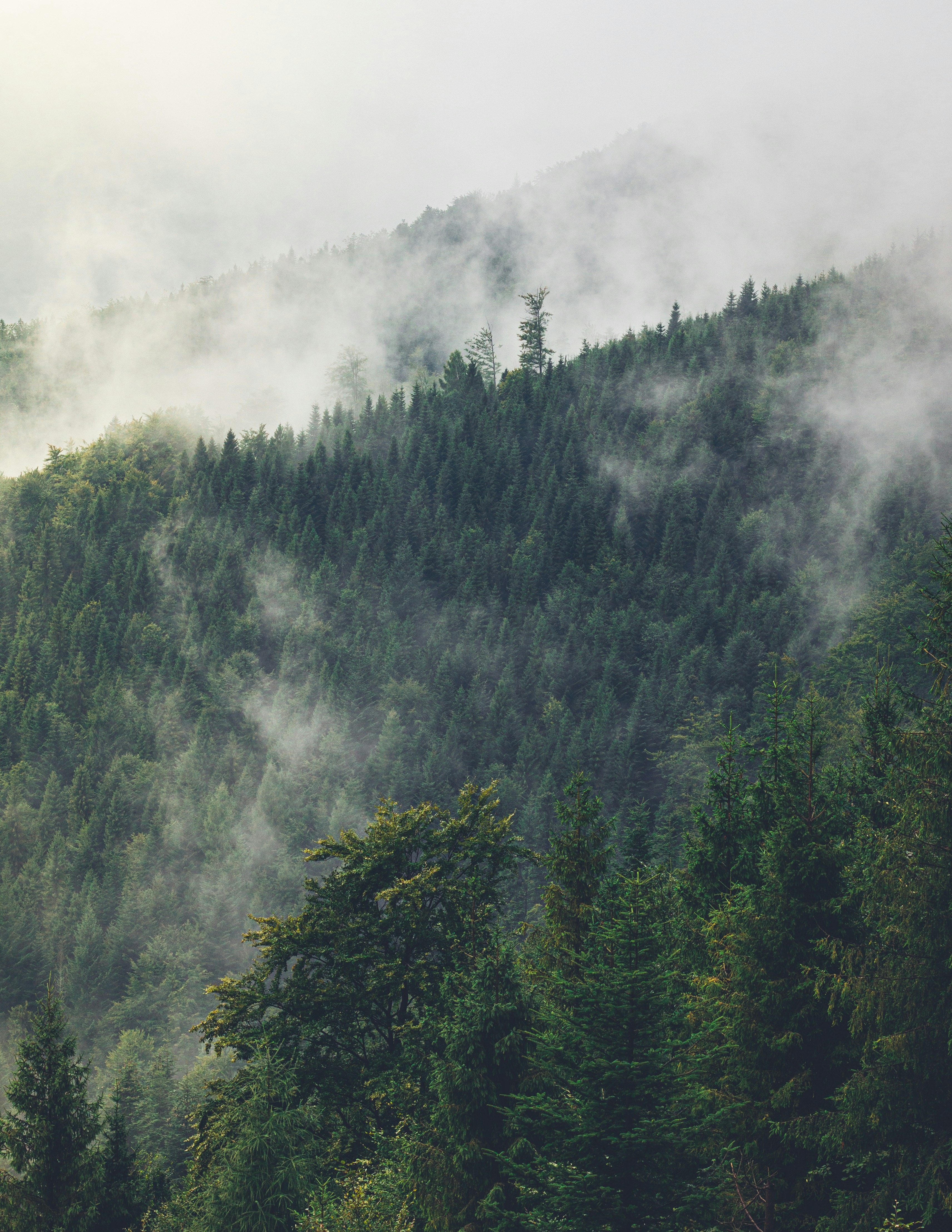 Photo by tomasz_filipek