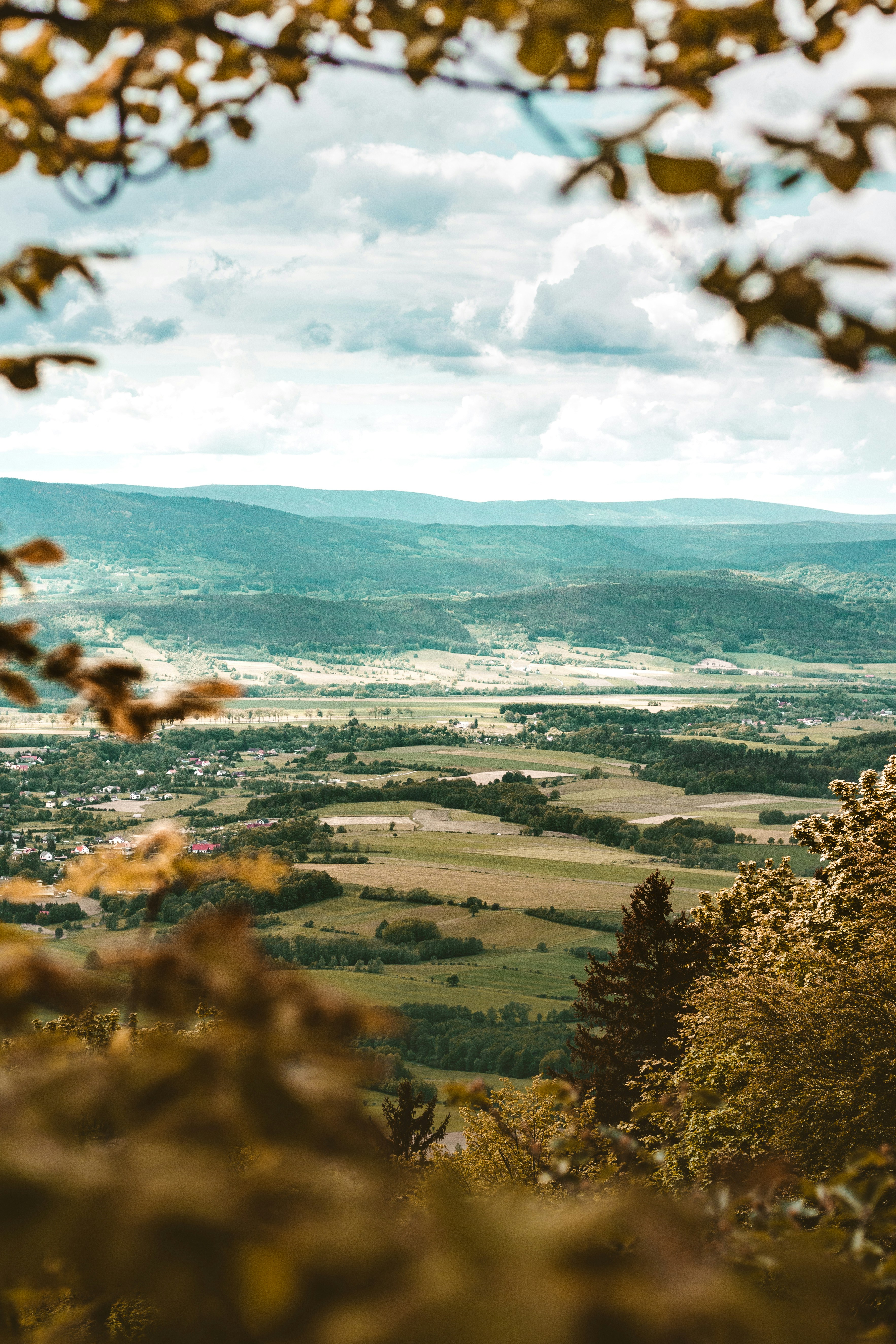 Photo by tomasz_filipek