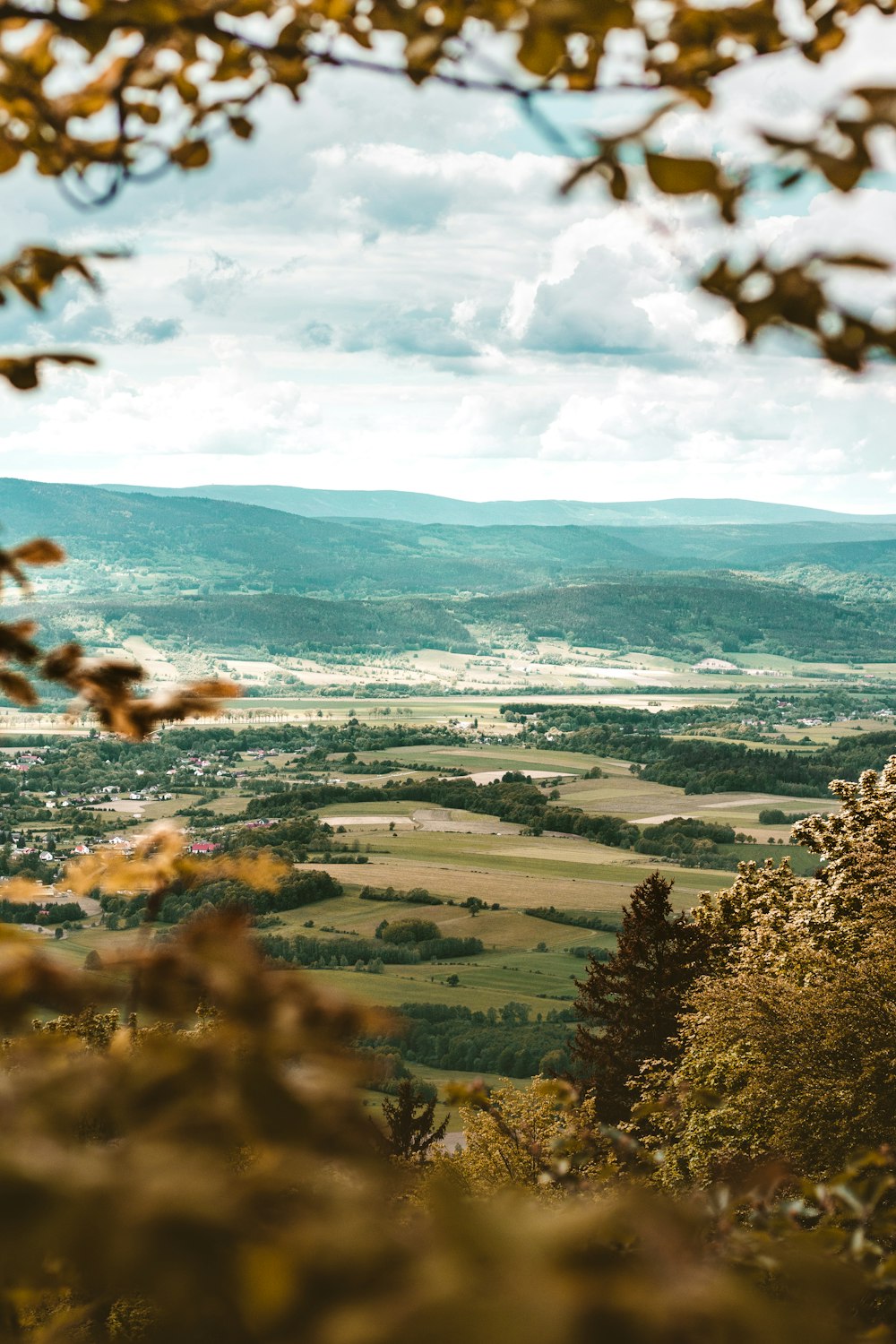 a view of a valley from a hill