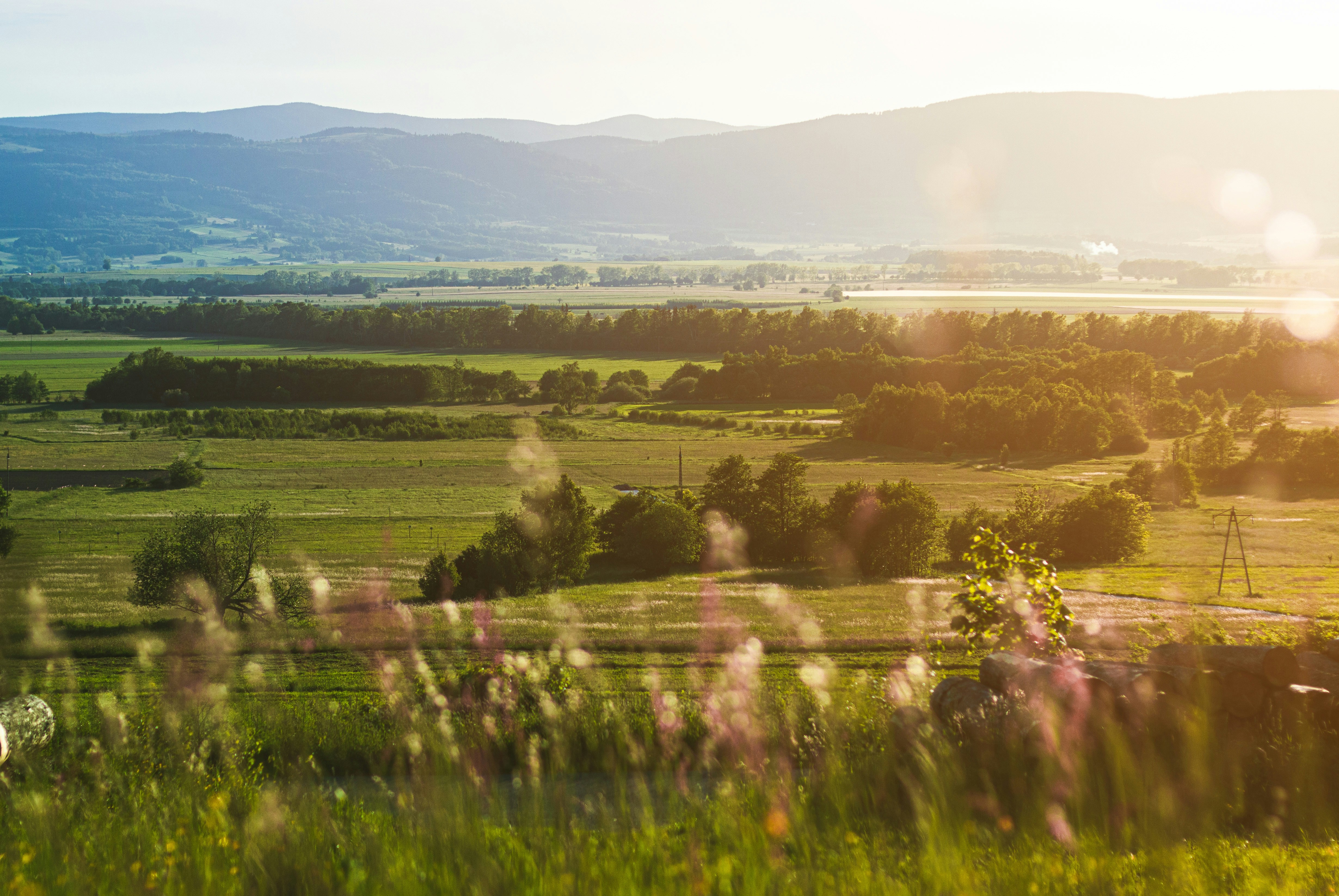 Photo by tomasz_filipek