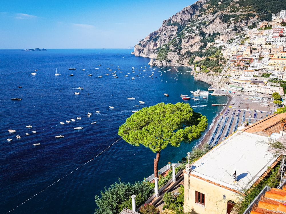 a large body of water with boats in it