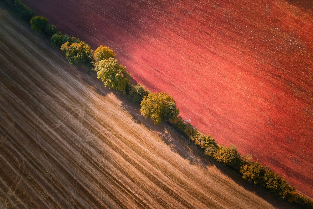 an aerial view of a plowed field with trees