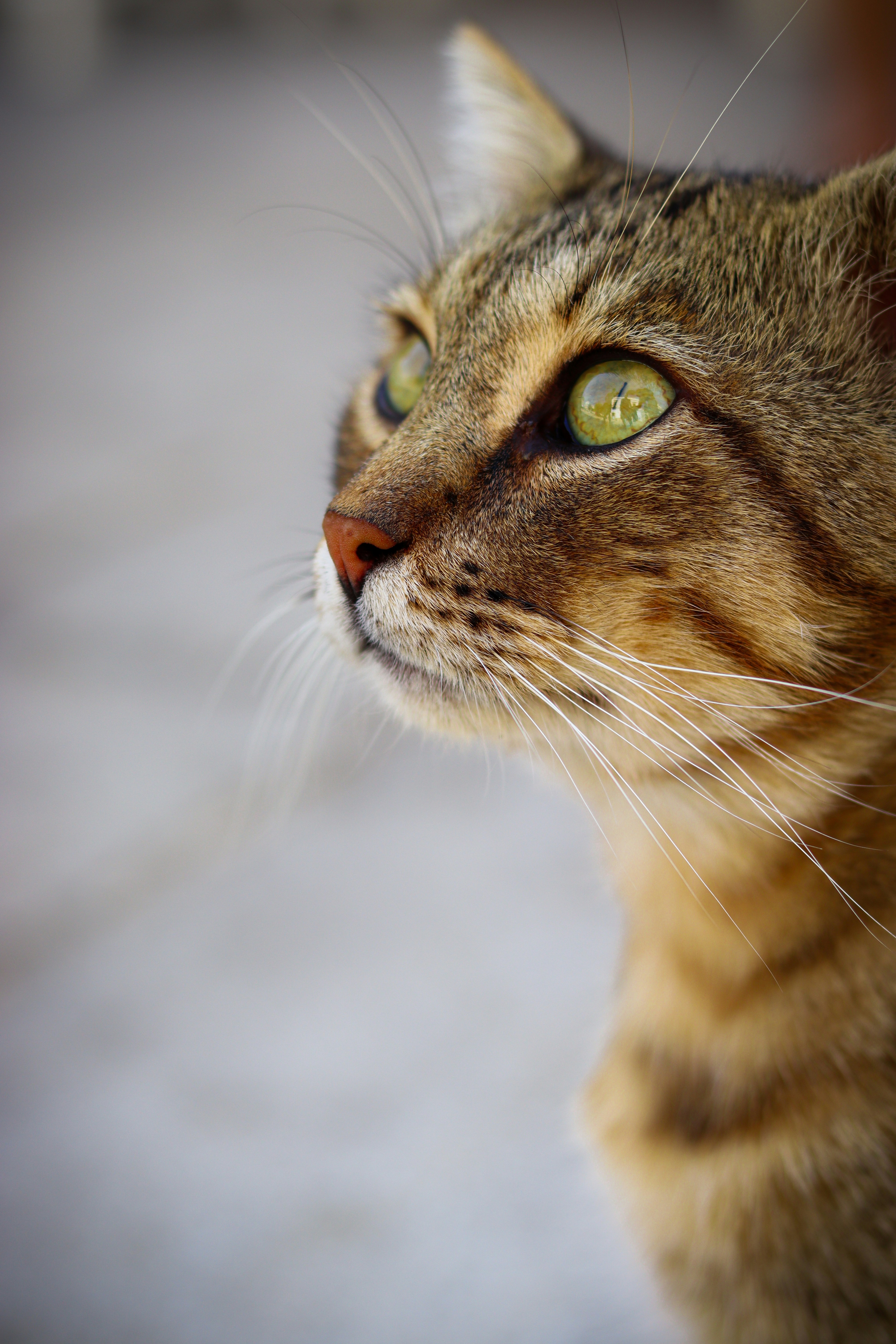 Photo by key98_photography