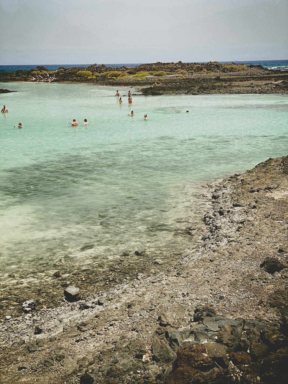 a group of people swimming in a body of water