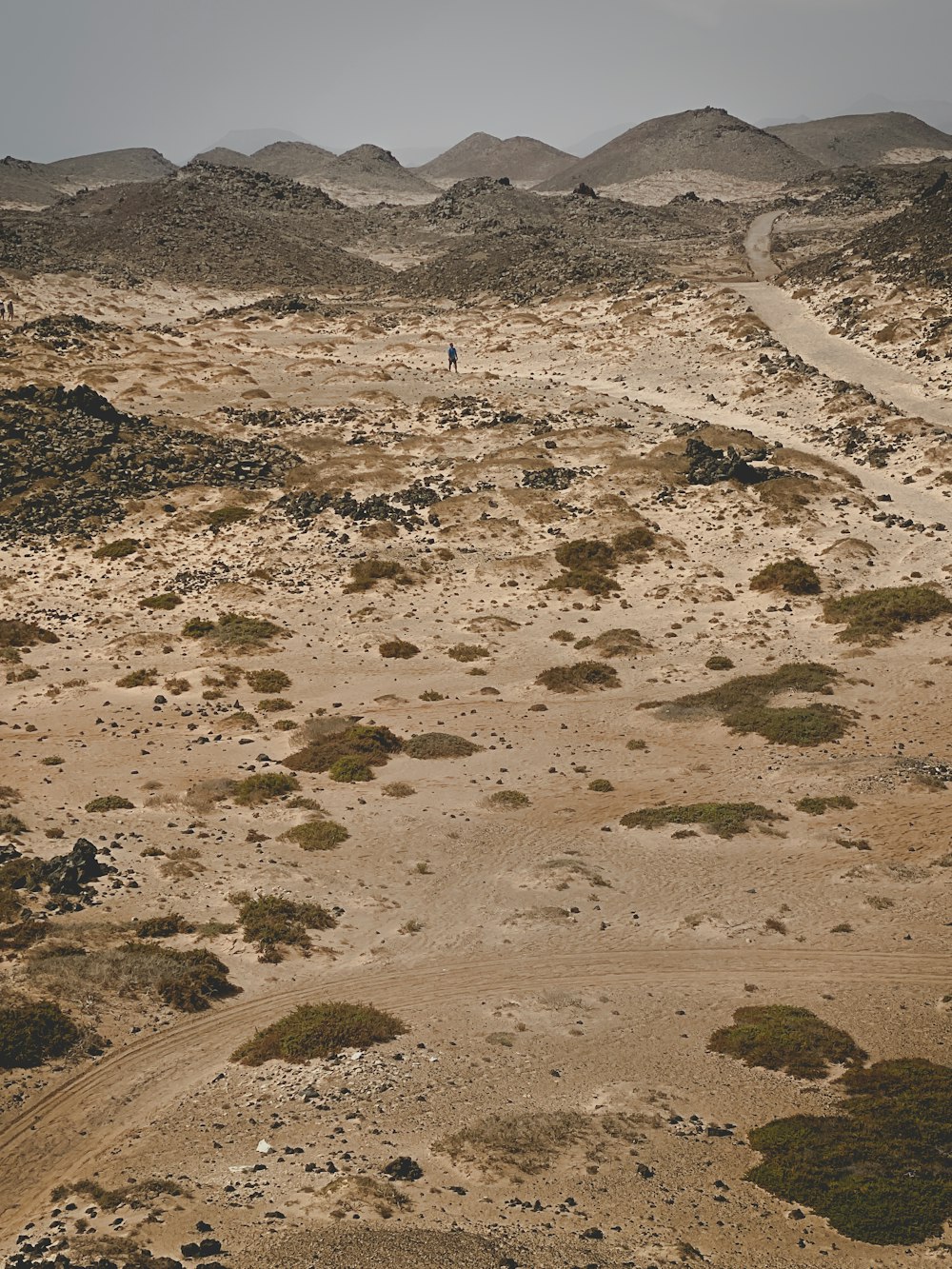 a person riding a horse through a desert