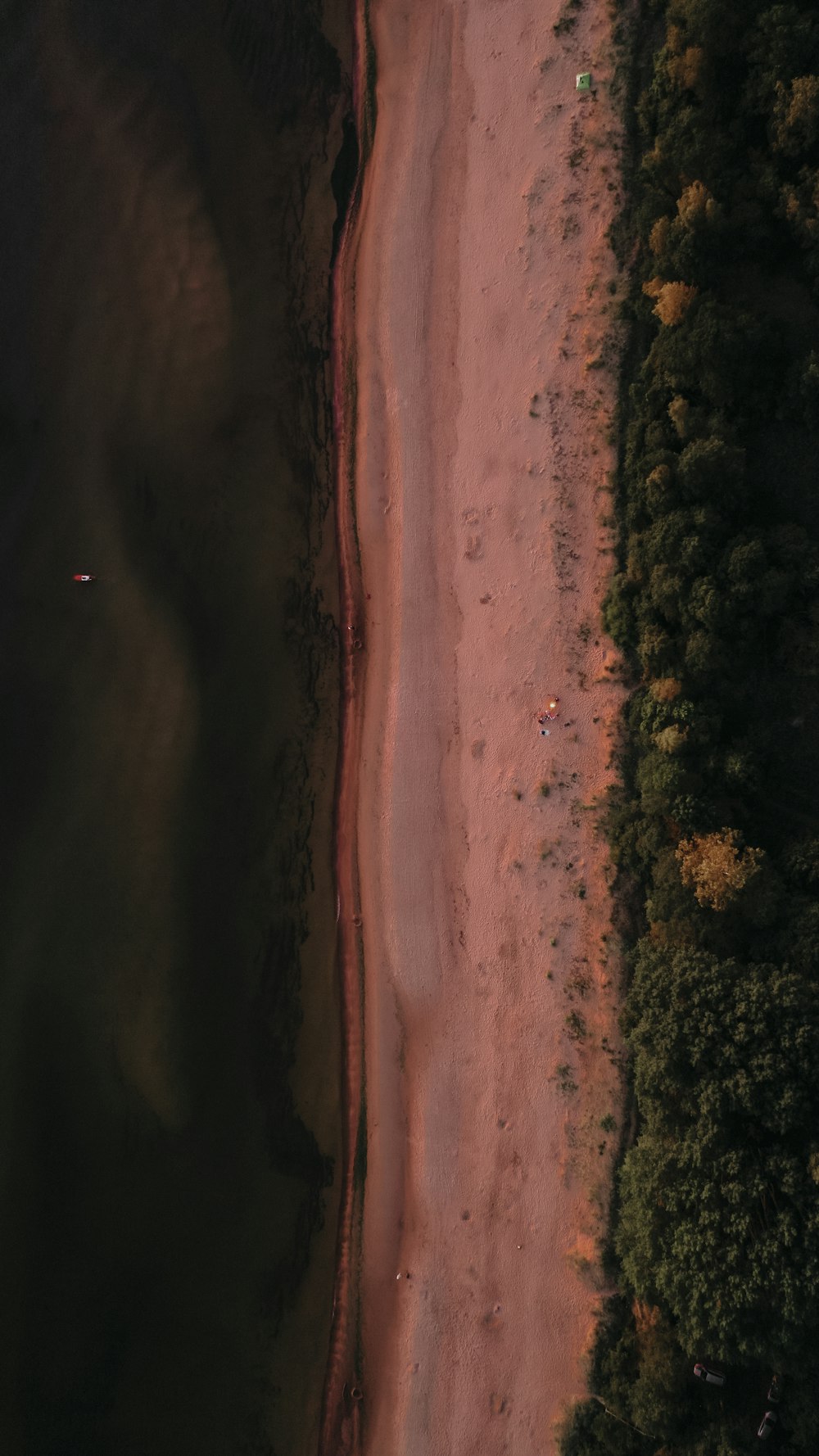 an aerial view of a beach and trees