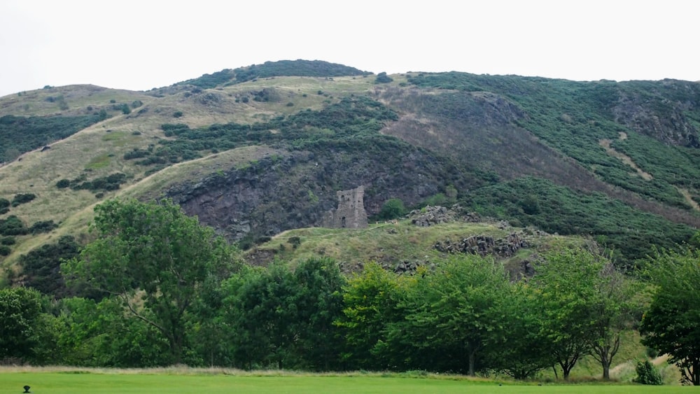 a grassy field with a mountain in the background