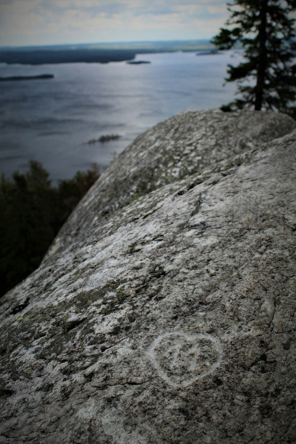 a rock with a tree on top of it